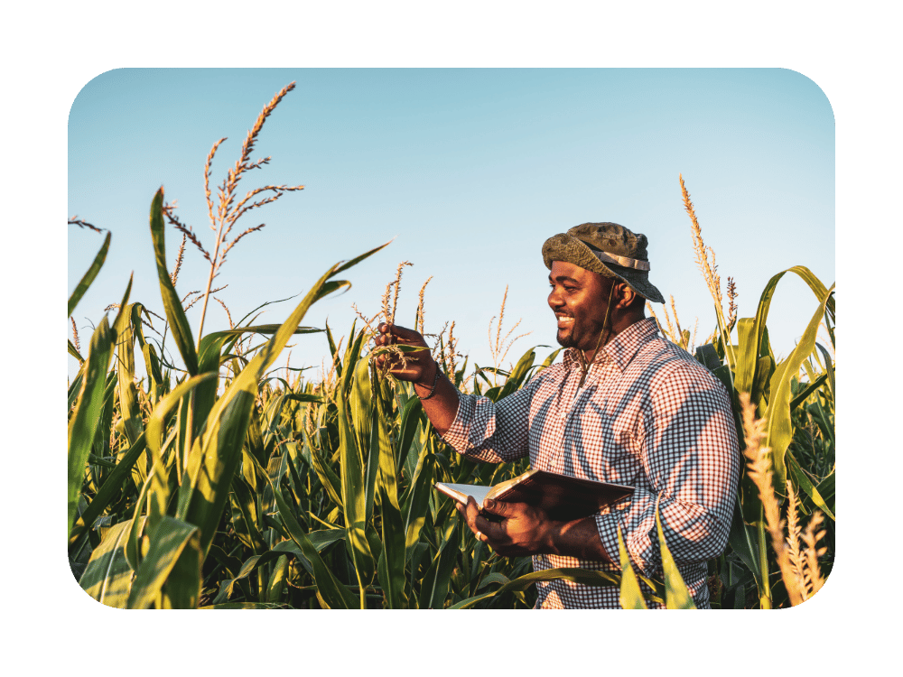agri2
